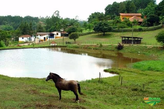 Sítio - Jundiaí/SP