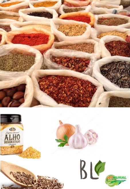 Ervas Medicinais Imagem Ervas Medicinais