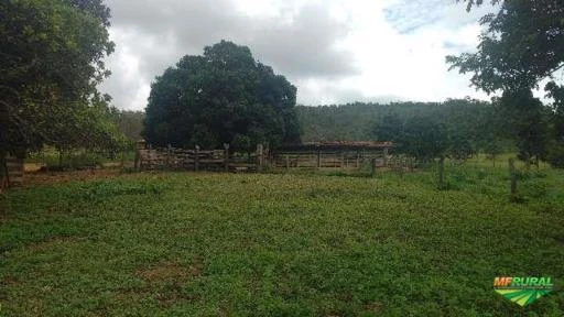 Fazenda Acabavidinha, 70 Alqueires