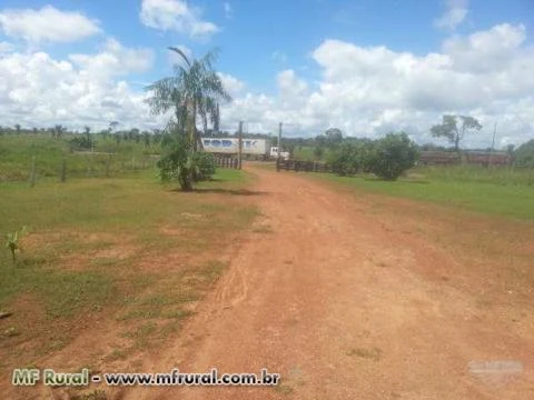 Ótima fazenda na beira do asfalto medindo 700ha na Br 364