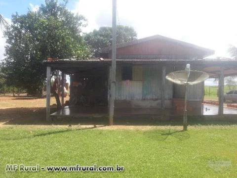 Ótima fazenda na beira do asfalto medindo 700ha na Br 364