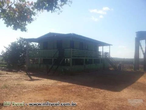 Fazenda na Região de Boca do Acre, AM com 3.600ha de área total