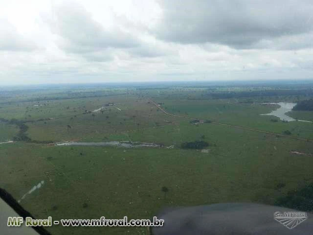 Fazenda med. 5800ha com 3200ha de pasto sendo dupla aptdão.