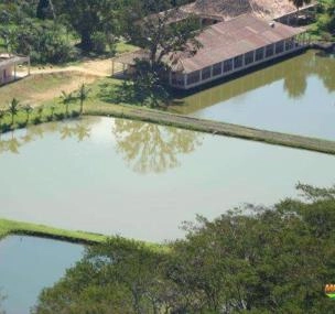 Depoimento de anúncio vendido Depoimento de anúncio vendido
