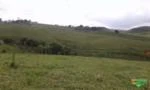 Excelente  fazendinha  17 Hectares município de J. Gomes -R$ 300.000,00