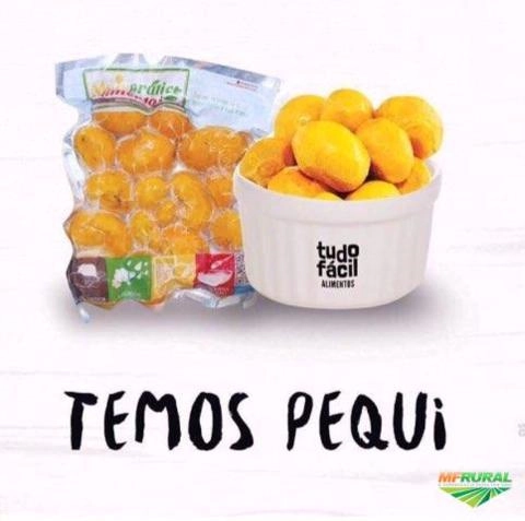 Pequi embalado a vácuo Imagem Pequi embalado a vácuo