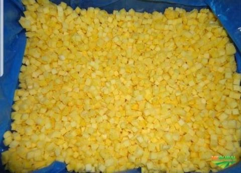 Abacaxi fruta congelado Imagem Abacaxi fruta congelado