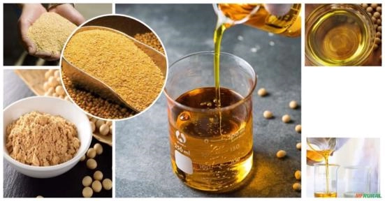 OLEO DEGOMADO E FARELO DE SOJA Imagem OLEO DEGOMADO E FARELO DE SOJA