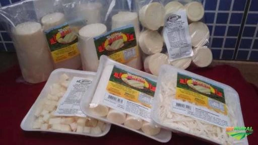 Palmito Pupunha In Natura Imagem Palmito Pupunha In Natura