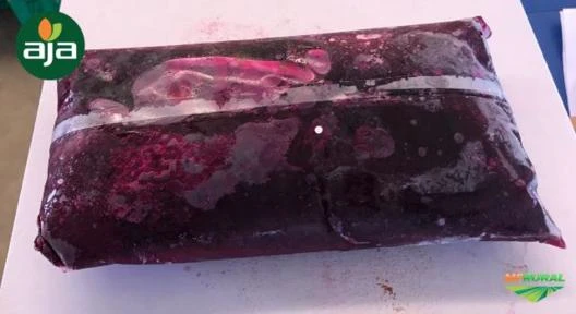 Polpa de Pitaya Vermelha Congelada