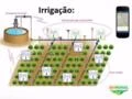 Irrigação de Jardins agricultura
