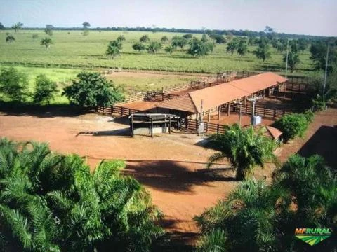 Fazenda a venda no Mato Grosso 60.000 Milhões