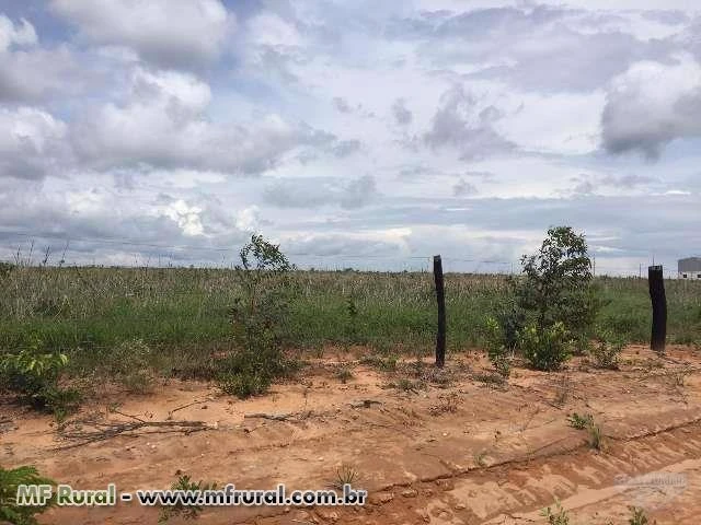 Fazenda 100% Plana para Agricultura