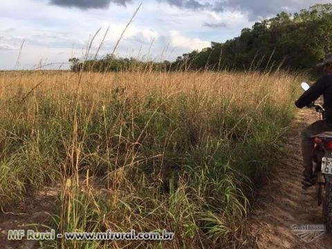 Fazenda 100% Plana para Agricultura