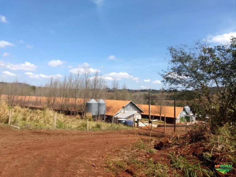 Vendo ou troco Granja com 3 aviários modernos ótima renda em São Roque - Marechal Cândido Rondon-PR