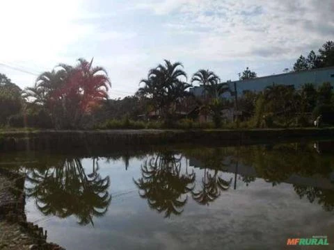 Pesqueiro em Santa Isabel SP