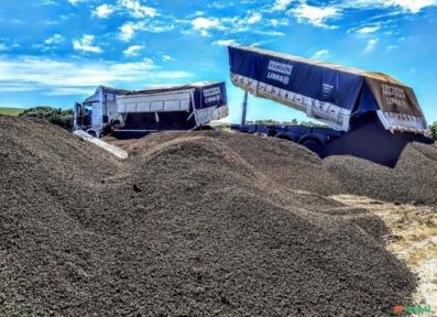 Imagem Fertilizantes Agrícolas Orgânico Imagem Fertilizantes Agrícolas Orgânico