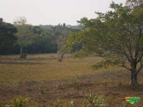 fazenda abençoado