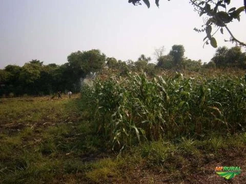 fazenda abençoado