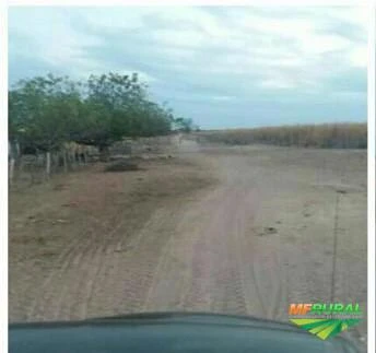 Fazenda no oeste da Bahia com 12 mil hectares