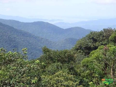 Área Para Compensação Ambiental - Bioma Mata Atlântica -  Reserva Legal - Estado de São Paulo