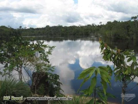 Fazenda georreferenciada no Amazonas para garantias bancárias, REDD, servidão
