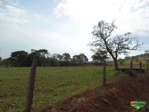 Fazenda á venda - Fazenda Bom Sucesso em Jaraguá