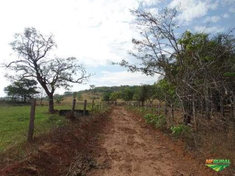 Fazenda á venda - Fazenda Bom Sucesso em Jaraguá