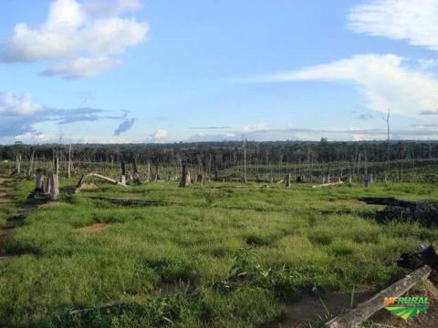 Fazenda Rondon do Pará