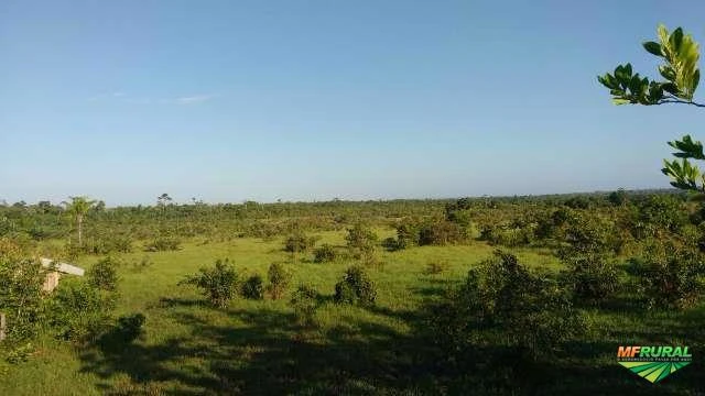 Fazenda em Paragominas