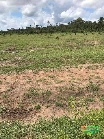 Fazenda em Moju - Pará