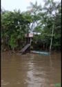 Fazenda em moju no Pará