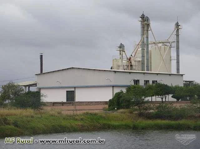 Agroindústria com Tecnologia para Processamento de Ingredientes para Nutrição Animal