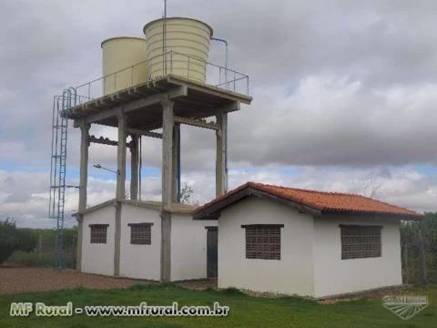 Agroindústria com Tecnologia para Processamento de Ingredientes para Nutrição Animal