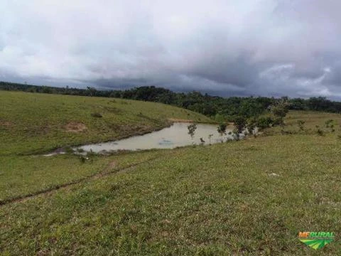 Fazenda no Extremo Sul baiano!