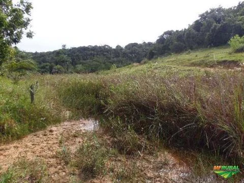 Fazenda no Extremo Sul baiano!