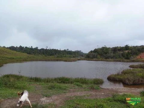 Fazenda no Extremo Sul baiano!