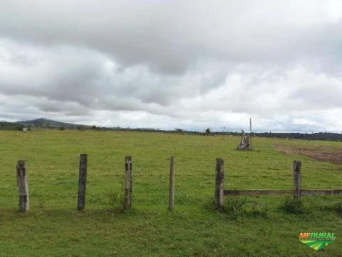 Fazenda no Extremo Sul baiano!