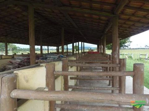 Fazenda no Extremo Sul baiano!