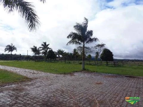 Fazenda no Extremo Sul baiano!