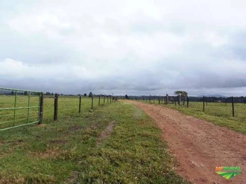 Fazenda no Extremo Sul baiano!