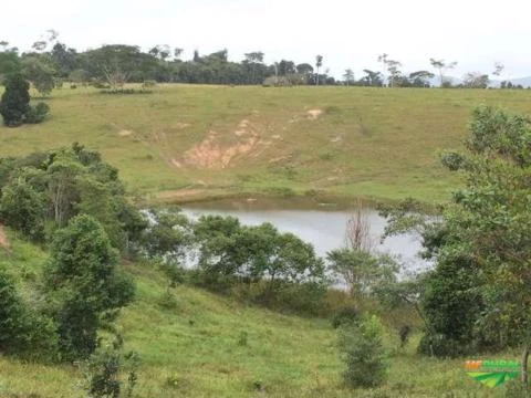 Fazenda no Extremo Sul baiano!