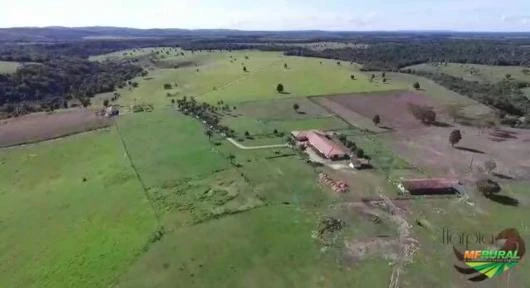 Fazenda no Extremo Sul baiano!