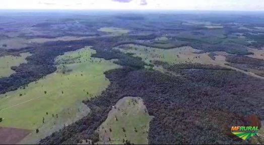 Fazenda no Extremo Sul baiano!