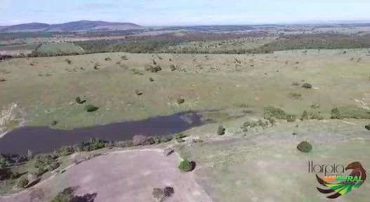 Fazenda no Extremo Sul baiano!