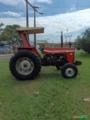 Trator Massey Ferguson 275 4X2 Ano 86 Imagem Trator Massey Ferguson 275 4X2 Ano 86