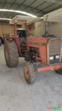 Trator Massey Ferguson 265 4X2 Ano 81 Imagem Trator Massey Ferguson 265 4X2 Ano 81