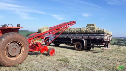 Esteira para feno Imagem Esteira para feno