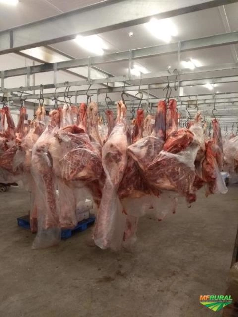 Trilhagem aérea para frigorífico Imagem Trilhagem aérea para frigorífico