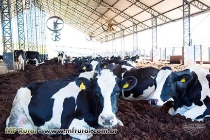 Composto Orgânico Imagem Composto Orgânico